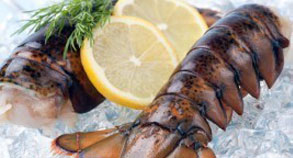 Lobster