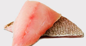 Salmon