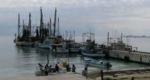 Boats