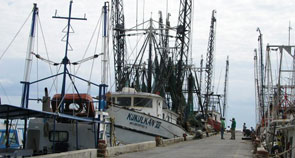 Boats2