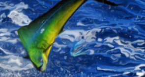 Mahi